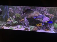 IMG_7158.jpeg