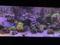 IMG_7157.jpeg