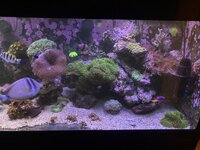IMG_7156.jpeg