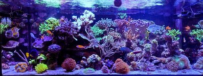 DSC_0302~2.JPG