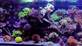 DSC_0303~3.JPG