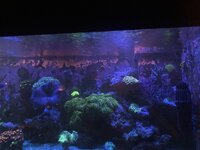 IMG_7318.jpeg