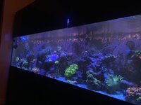 IMG_7319.jpeg
