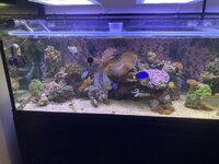 IMG_7374.jpeg