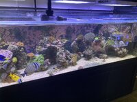 IMG_7375.jpeg