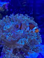 IMG_4732.JPG IMG_4732.JPG