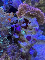 IMG_4727.JPG IMG_4727.JPG