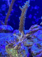 IMG_4734.JPG IMG_4734.JPG