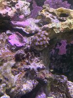 IMG_7406.jpeg
