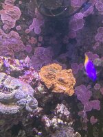IMG_7404.jpeg