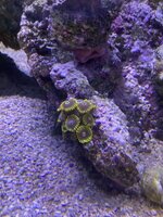IMG_7403.jpeg