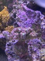 IMG_7402.jpeg