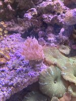 IMG_7401.jpeg