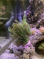 IMG_7400.jpeg