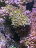 IMG_7395.jpeg