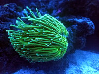 20231101_222042.jpg 20231101_222042.jpg