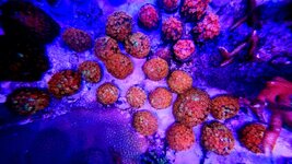 20231109_162823.jpg 20231109_162823.jpg