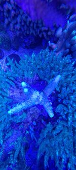 20231123_203926.jpg