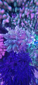 20231123_204011.jpg
