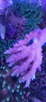 20231123_204029.jpg