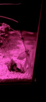 20231124_020951.jpg