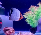 IMG_6467.jpeg
