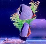 IMG_6476.jpeg