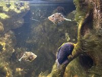 IMG_2601.jpeg