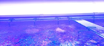 20231124_120622.jpg
