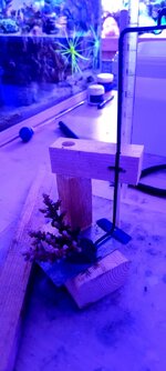 20231208_184651.jpg 20231208_184651.jpg