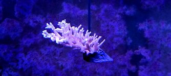 20231208_184738.jpg 20231208_184738.jpg