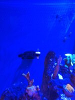 IMG_20231209_204755.jpg IMG_20231209_204755.jpg
