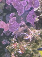 IMG_7927.jpeg