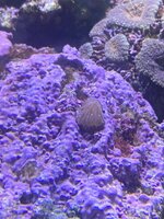 IMG_7928.jpeg