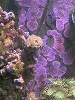 IMG_7932.jpeg