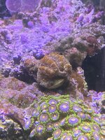 IMG_7930.jpeg