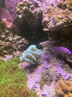 IMG_7929.jpeg