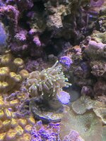 IMG_7933.jpeg