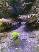 IMG_7934.jpeg