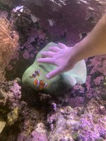 IMG_7938.jpeg