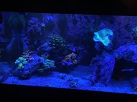 IMG_7952.jpeg
