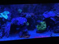 IMG_7951.jpeg