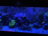 IMG_7950.jpeg