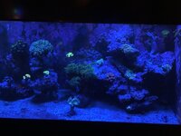 IMG_7949.jpeg