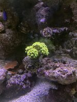 IMG_7996.jpeg