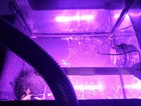 20231215_222005.jpg 20231215_222005.jpg