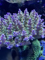IMG_3169.JPG