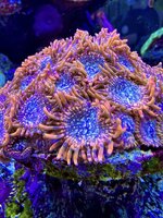 IMG_3171.JPG