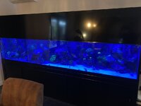IMG_8057.jpeg