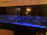 IMG_8058.jpeg